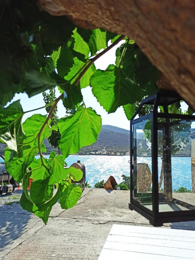 Tholos Alexandra'S Beachfront House Kavoúsion Exterior foto