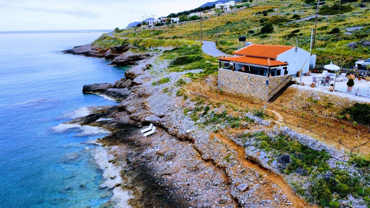 Tholos Alexandra'S Beachfront House Kavoúsion Exterior foto